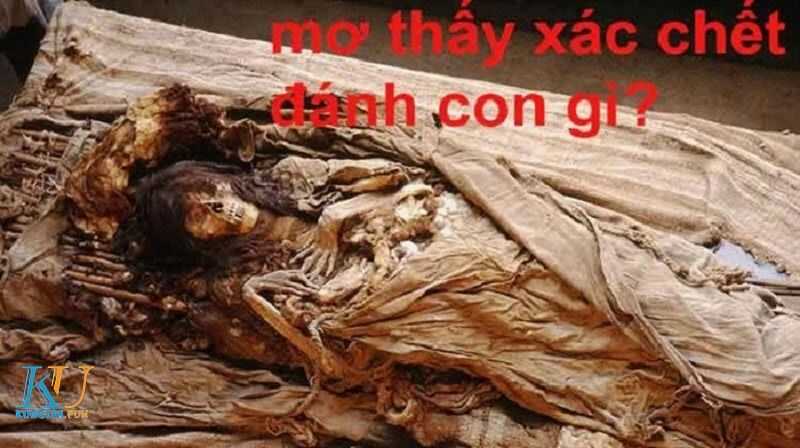 Mơ thấy xác chết số mấy? Điềm báo là gì? 1 xác chết số mấy